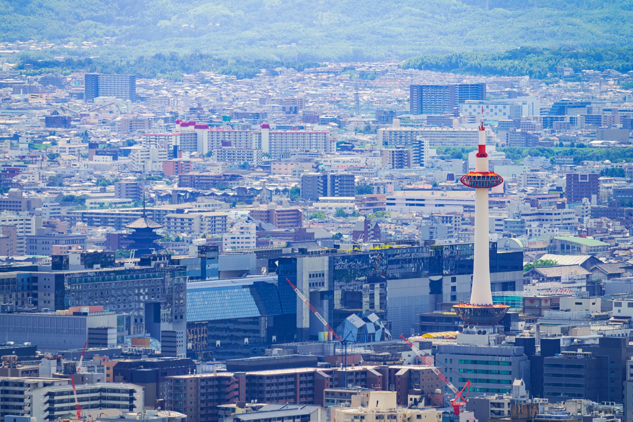 firstview画像